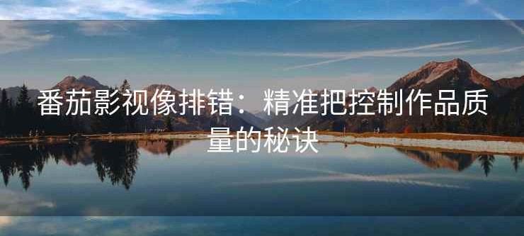番茄影视像排错：精准把控制作品质量的秘诀