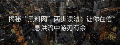 揭秘“黑料网”两步读法：让你在信息洪流中游刃有余